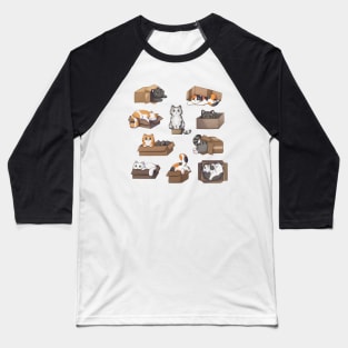 Lot of cats in boxes Baseball T-Shirt